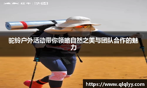 满冠体育手机最新版本