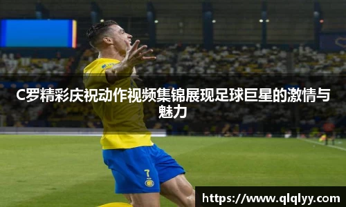 满冠体育手机最新版本