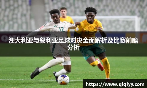 满冠体育手机最新版本